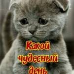 Викторович Денис