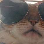 Артём Квашнин