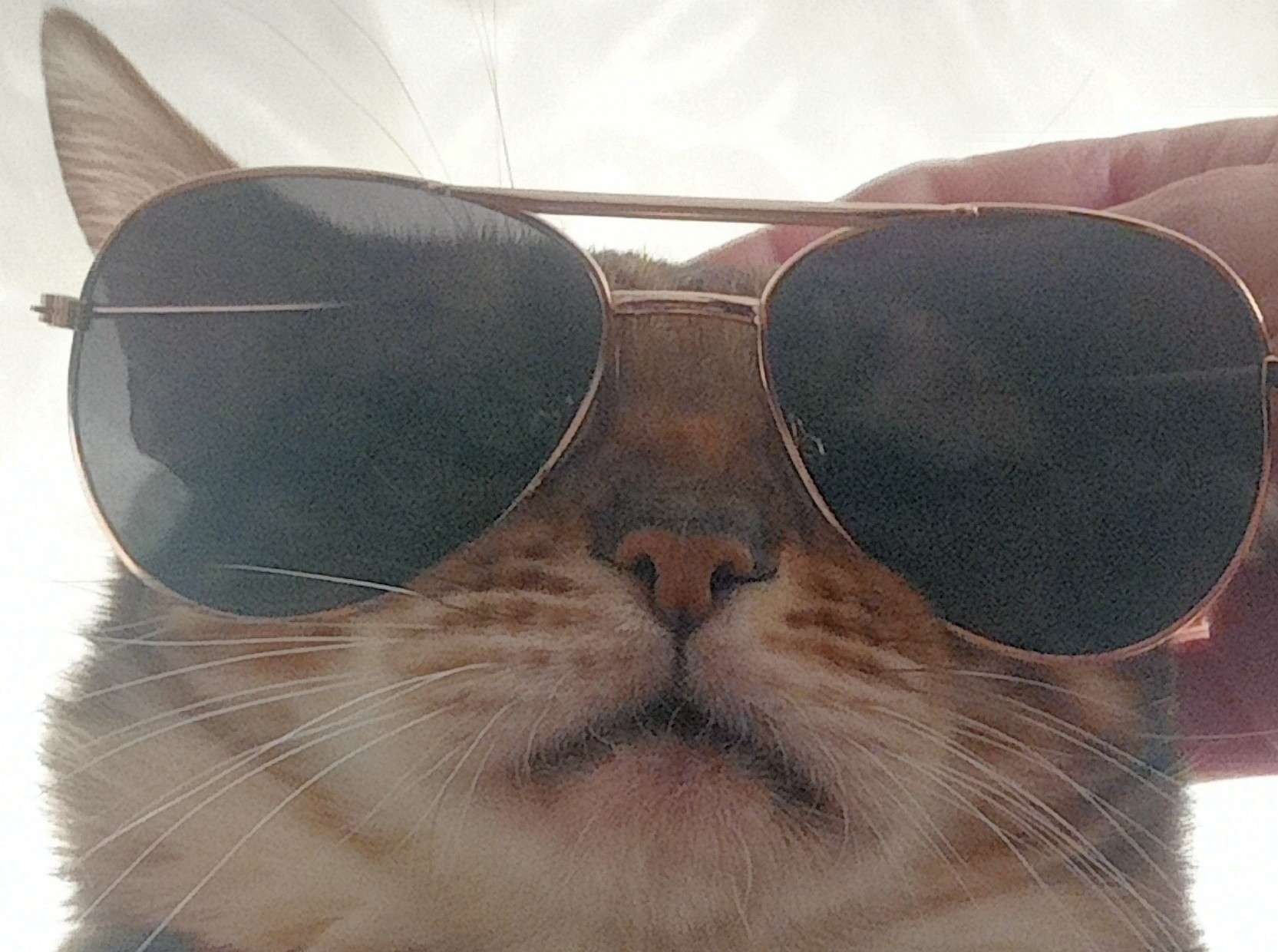 Артём Квашнин