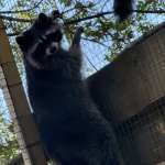 Дмитрий Бакин