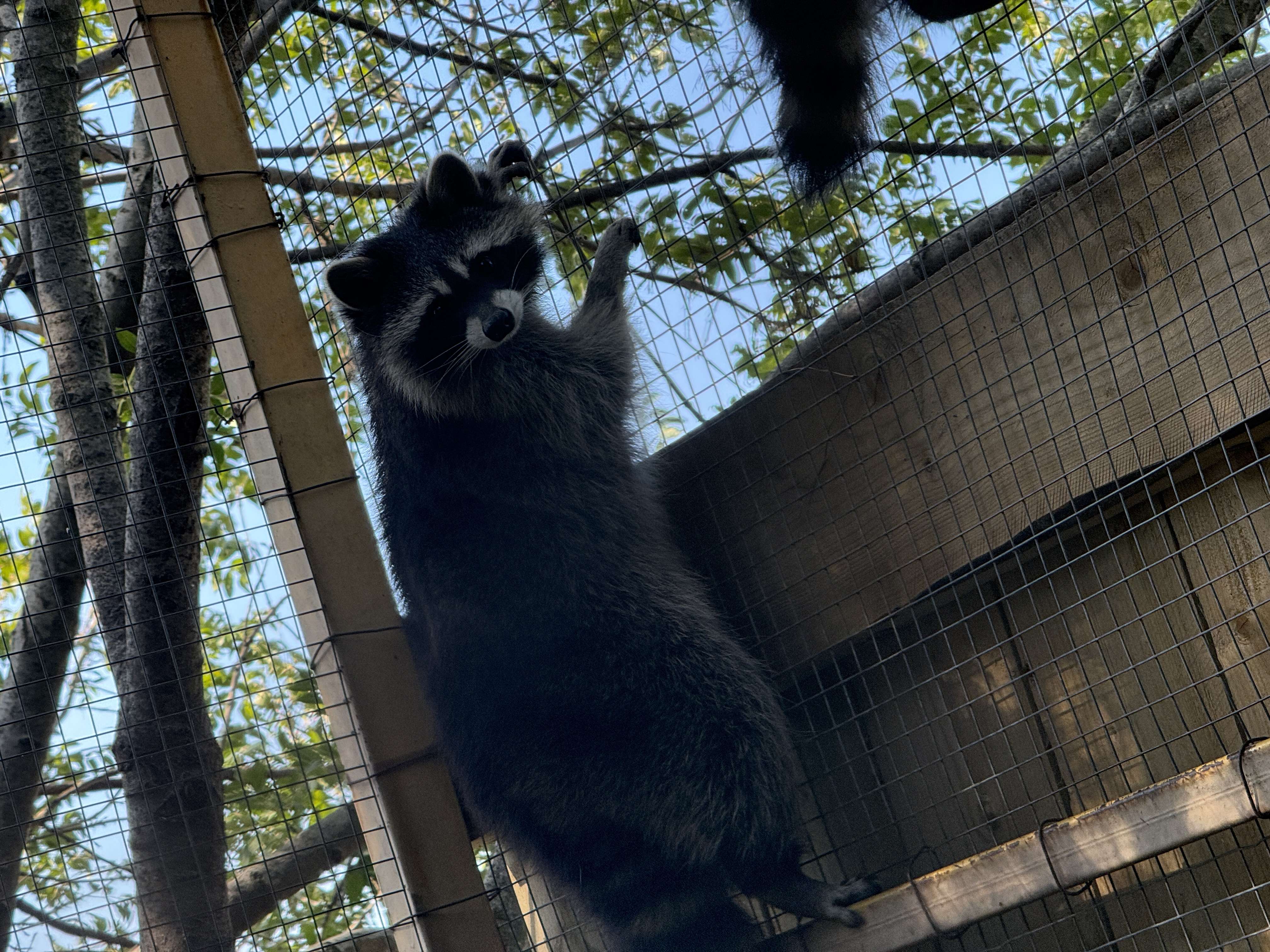 Дмитрий Бакин