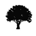 Алексей Юрин