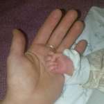 Алексей Манин